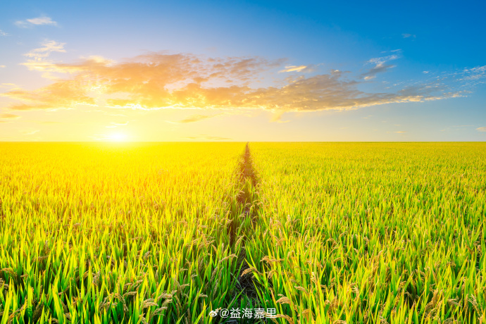 yd2333云顶电子游戏(股份有限公司)-Baidu百科NO.1