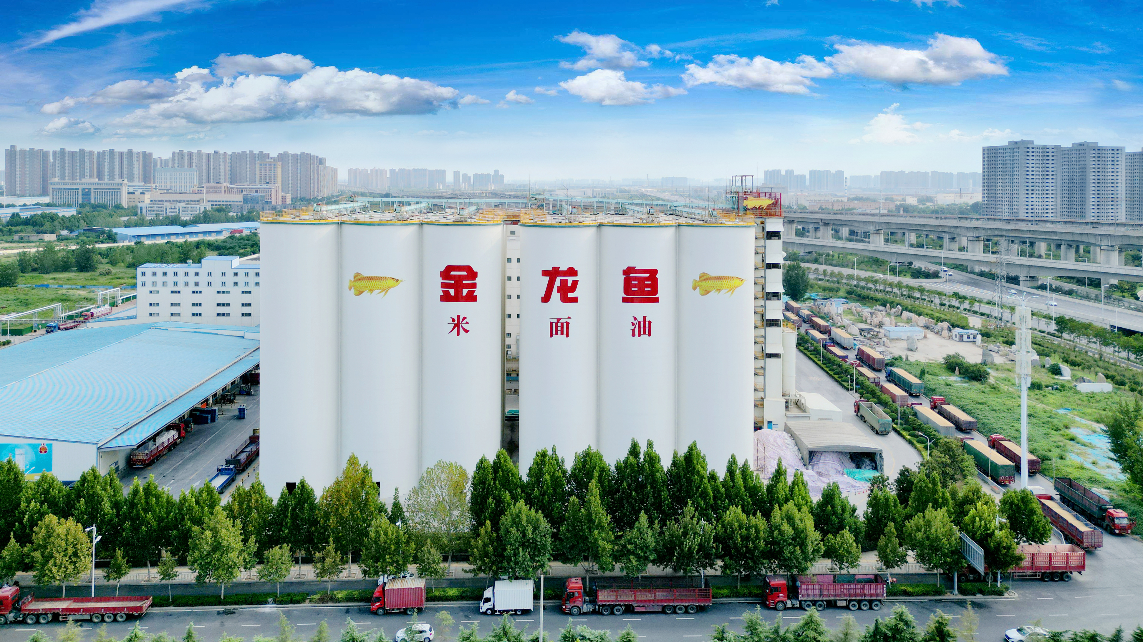 yd2333ÔÆ¶¥µç×ÓÓÎÏ·(¹É·ÝÓÐÏÞ¹«Ë¾)-Baidu°Ù¿ÆNO.1